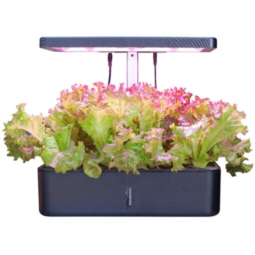 12 Pots Hydroponics Growing System, Indoor Herb Garden Starter Kit, Soilless Cultivation Plant Germination Kits, Grow Light for Home Gardening Vegetables