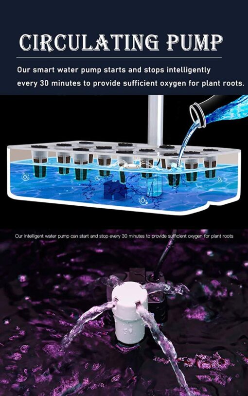 12 Pots Hydroponics Growing System, Indoor Herb Garden Starter Kit, Soilless Cultivation Plant Germination Kits, Grow Light for Home Gardening Vegetables - Image 4