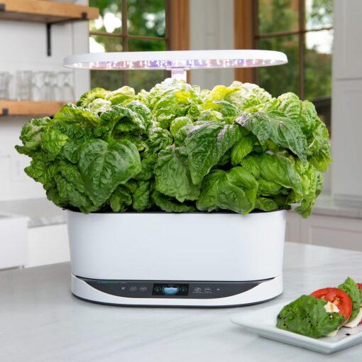 AeroGarden Bounty - Indoor Garden with LED Grow Light, WiFi and Alexa Compatible, White - Image 4