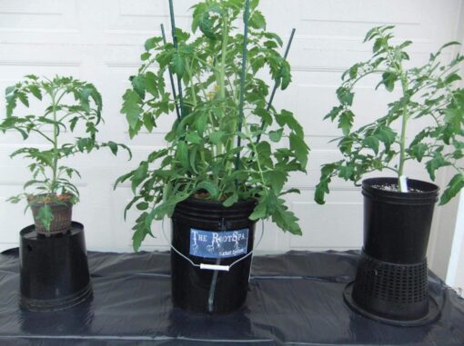 Active Aqua RS5GAL4SYS Root Spa 5 Gallon Hydroponic 4 Bucket Deep Water Culture Grow Kit System with Multi-Purpose Air Hose and Air Pump, Black - Image 4