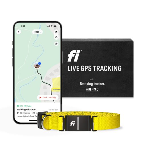 Fi Series 3 Smart Dog Collar - GPS Dog Tracker and Activity & Health Monitor, Waterproof, LED Light, Escape Alerts, Nationwide Coverage [Free 1 Year Membership] (Yellow, X Small)