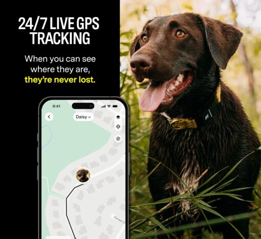 Fi Series 3 Smart Dog Collar - GPS Dog Tracker and Activity & Health Monitor, Waterproof, LED Light, Escape Alerts, Nationwide Coverage [Free 1 Year Membership] (Yellow, X Small) - Image 7
