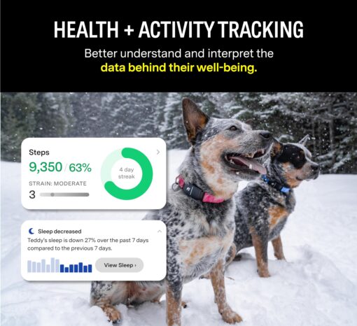 Fi Series 3 Smart Dog Collar - GPS Dog Tracker and Activity & Health Monitor, Waterproof, LED Light, Escape Alerts, Nationwide Coverage [Free 1 Year Membership] (Yellow, X Small) - Image 5