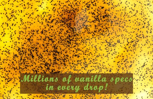 Vanilla Bean Paste for Baking and Cooking - Gourmet Madagascar Bourbon Blend made with Real Vanilla Seeds - 1 Gallon - Image 8