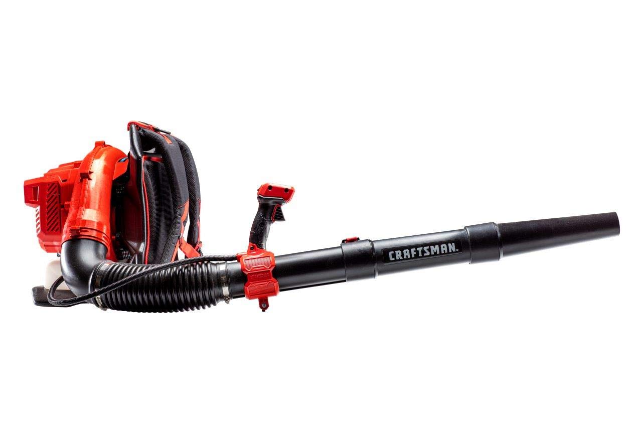 CRAFTSMAN Gas Powered Backpack Leaf Blower, Lightweight Backpack Blower, 220MPH, 51cc, 2-Cycle (CMXGAAMR51BP)